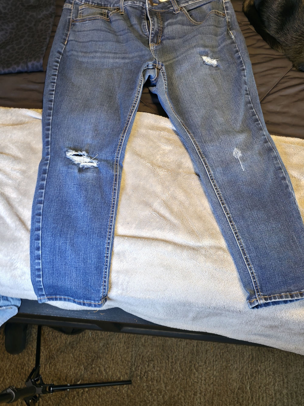Time and Tru Women's Straight Leg Distressed Blue Jeans